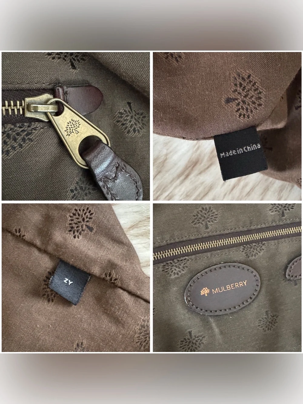 Mulberry Radeliffe Paisley Appliqué Canvas Tote in Tan and Brown